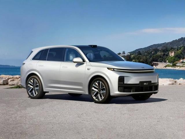 kaiyun网站：马上“租”你！理想汽车“划”破天际搞起了租赁？(图2)