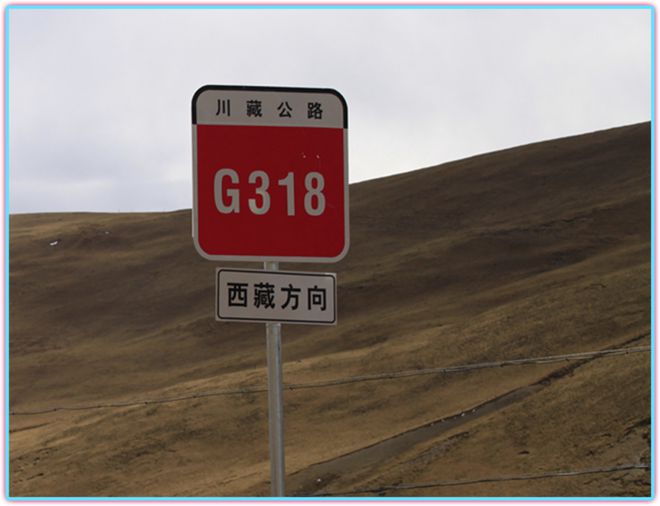 318国道上跑的多少车是租来的？(图1)