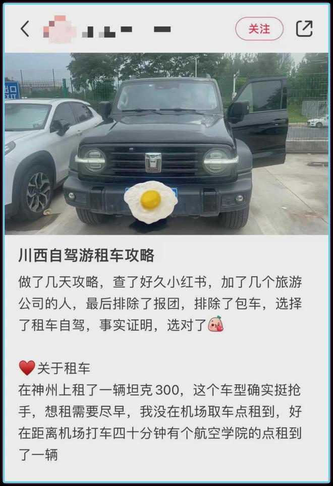 318国道上跑的多少车是租来的？(图14)
