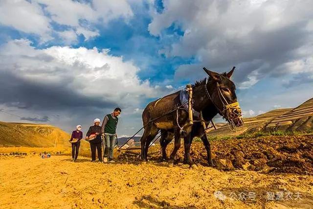 萝卜快跑干掉了出租汽车无人农场会不会让农民下岗？(图2)