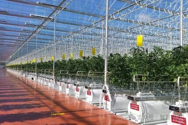 萝卜快跑干掉了出租汽车无人农场会不会让农民下岗？(图5)