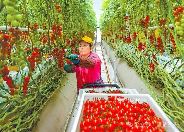 萝卜快跑干掉了出租汽车无人农场会不会让农民下岗？(图7)