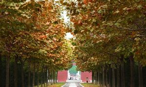 汽车租赁行业怎么样汽车租赁市场现状及趋势分析(图8)