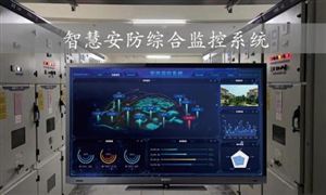 深圳租车热门车型一车难求2024汽车租赁行业市场现状调研(图3)