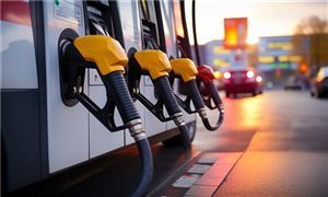 深圳租车热门车型一车难求2024汽车租赁行业市场现状调研(图6)