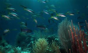 kaiyun入口：汽车租赁行业发展机遇汽车租赁行业发展现状投资研究(图8)