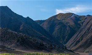 kaiyun：汽车租赁行业发展现状和前景分析(图2)