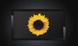 kaiyun网站：汽车融资租赁行业现状及趋势分析汽车融资租赁行业将朝着线上线下融合发展(图6)