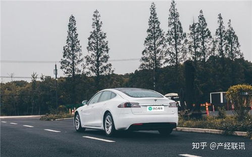 租车平台哪个好租车平台哪个好知乎(图1)