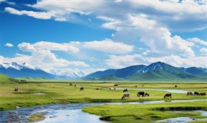 汽车租赁行业投资潜力分析国内租车市场整体呈现出欣欣向荣的新形势(图7)