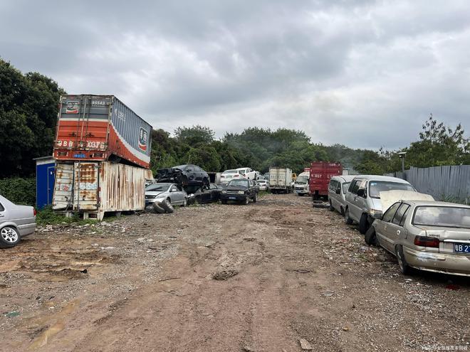 车辆车牌2024年政策(图1)