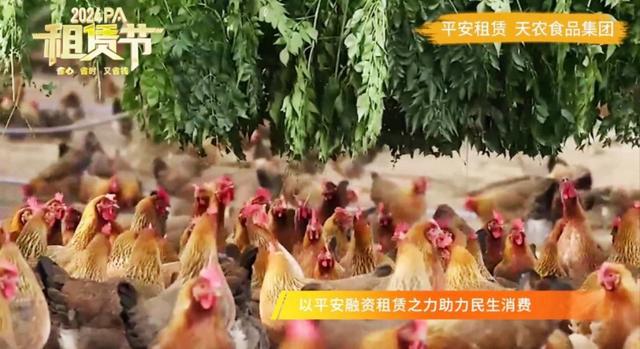 kaiyun入口：以融促产产融共进首届PA“租赁节”圆满收官(图10)