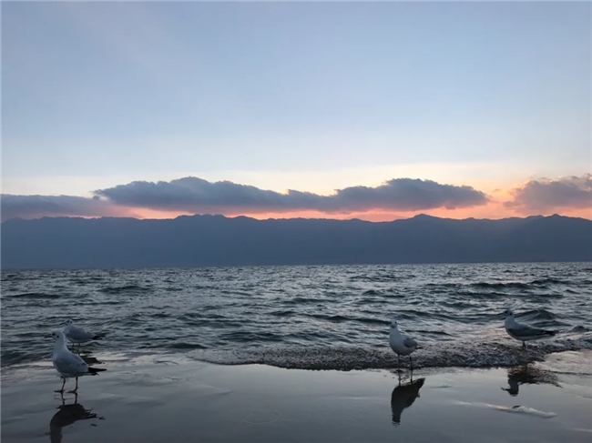 携程租车推荐:自驾宝藏目的地解锁别样初春之旅(图3)