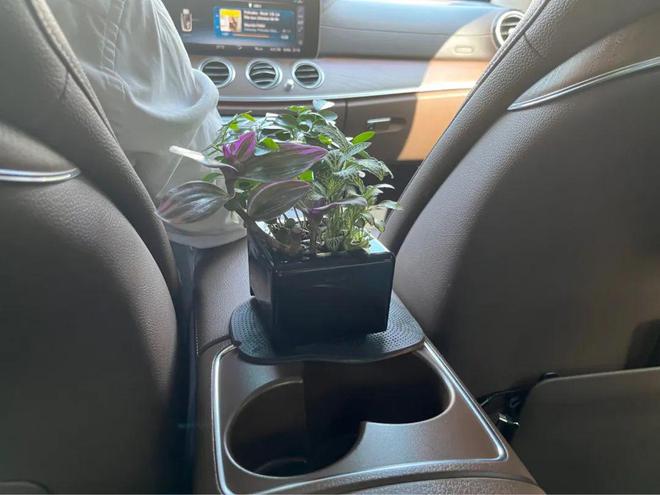 kaiyun网站：滴滴豪华车包车单来了！司机一单“封神”这才是网约车的天花板！(图3)