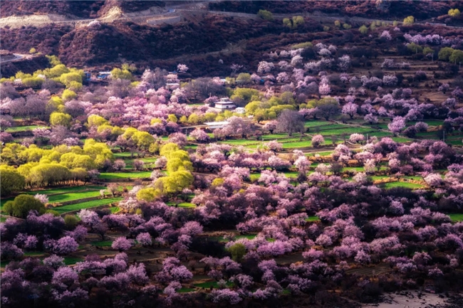 kaiyun网站：携程租车全攻略：避开陷阱解锁自驾幸福体验(图1)