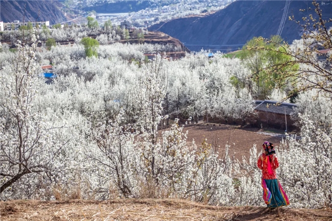 kaiyun网站：携程租车全攻略：避开陷阱解锁自驾幸福体验(图3)