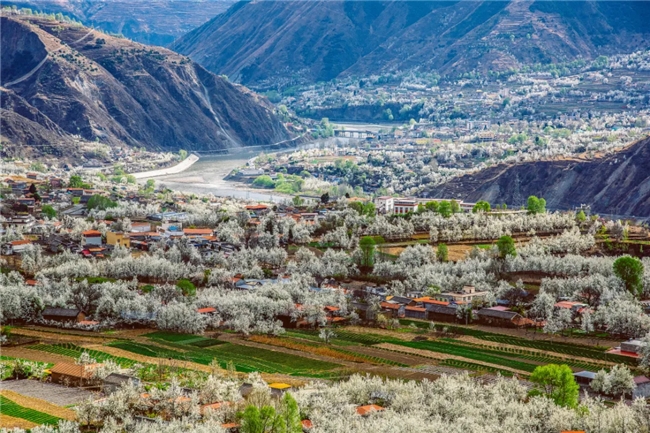 kaiyun网站：携程租车全攻略：避开陷阱解锁自驾幸福体验(图2)