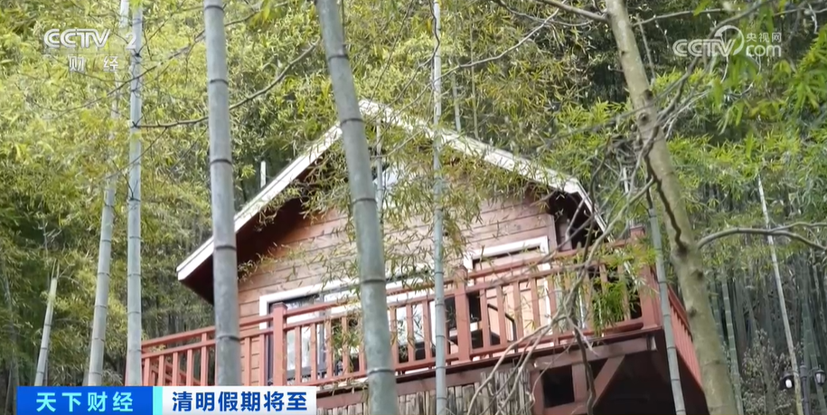 春游升温民宿预订、汽车租赁、郊外露营迎来高峰期(图2)