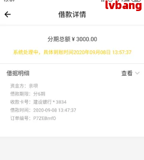 洋钱罐借款协议范本(图2)
