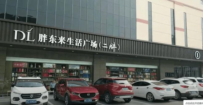 越黑越红！端午节胖东来外地游客爆满终于知道为啥走不出河南了(图3)