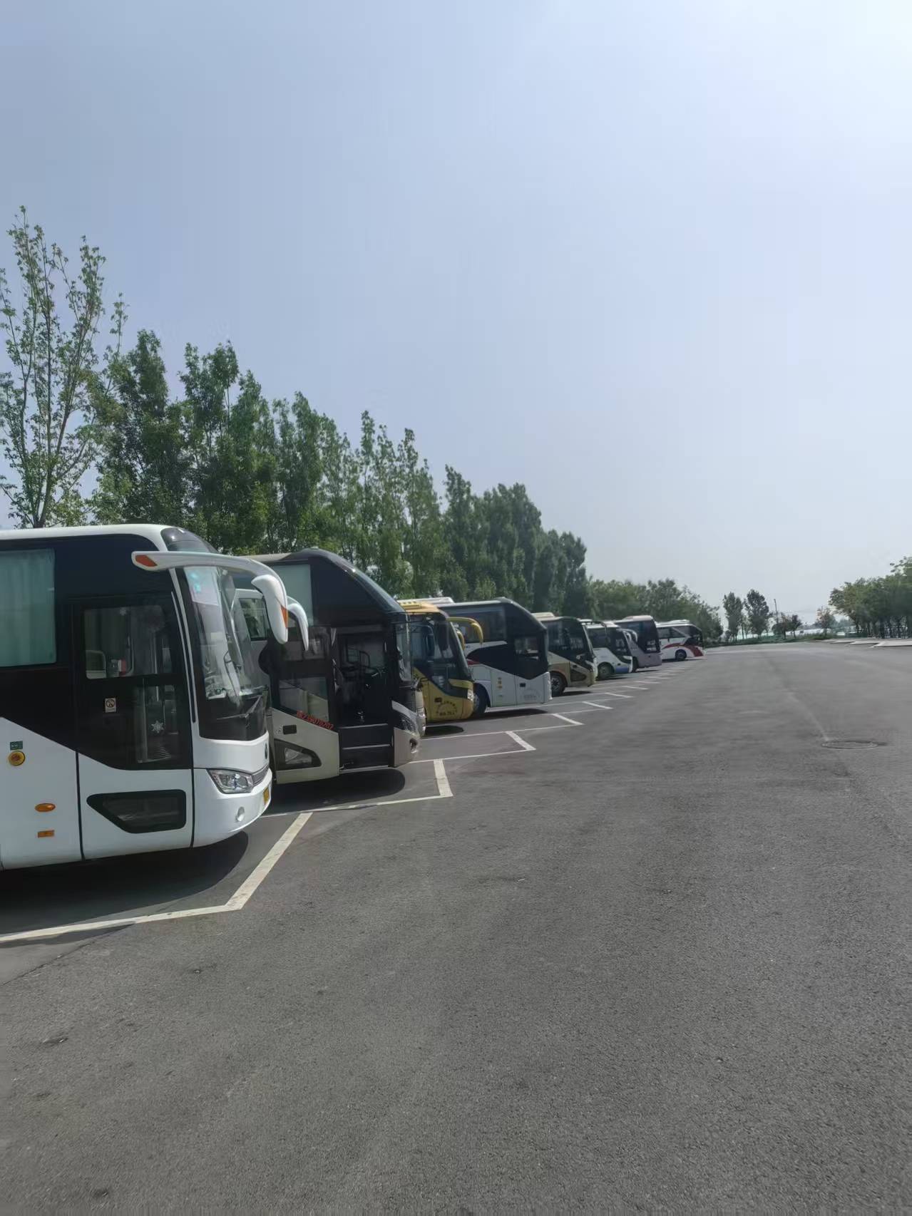 深聊郑州口碑好的研学租大巴公司郑州宸雅汽车租赁服务值得信赖(图1)