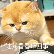 kaiyun:庭审直击丨一笔赔偿款敲响租车风险警钟(图1)