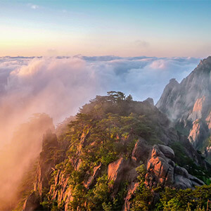 租车异地违章可以在本地处理吗(图2)
