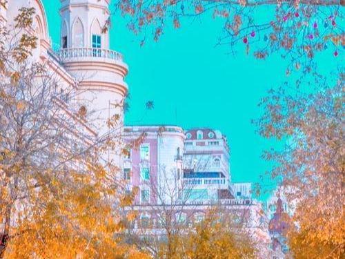 kaiyun入口：2026春节哈尔滨3日游热门旅游团报价抢先知晓(图3)